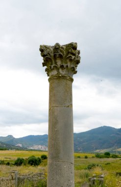 Oualili 'nin Görkemli Roma Sütunu