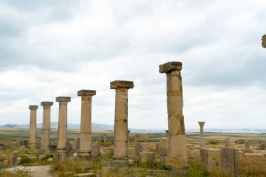 Roma Harabeleri Arasındaki Antik Sütunlar