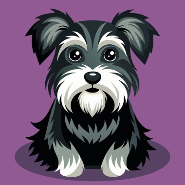 Afenpinscher Vektör Sanat Koleksiyonu Koyu Kahverengi Shaggy Coat