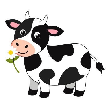 Sevimli küçük siyah beyaz inek çizgi film tarzında bir papatya yiyor.