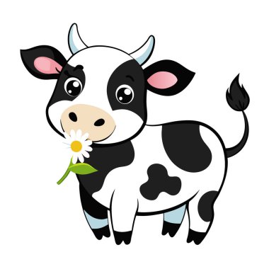 Sevimli küçük siyah beyaz inek çizgi film tarzında bir papatya yiyor.