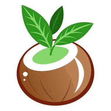 Yeşil yapraklı taze hindistan cevizi. Canlı vektör çizimi.