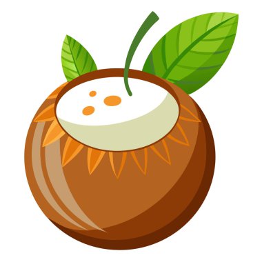 Yeşil yapraklı taze hindistan cevizi. Canlı vektör çizimi.