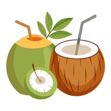 Kamış vektör sanatı içeren tuhaf yumuşak hindistan cevizi tasarımı