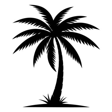 Palmiye ağacı siluet vektörü