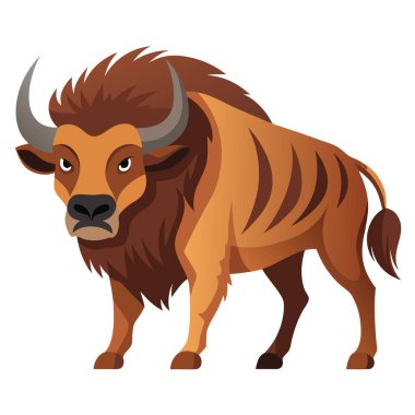Saldırıda güçlü bizon yan görünüm çiziminde