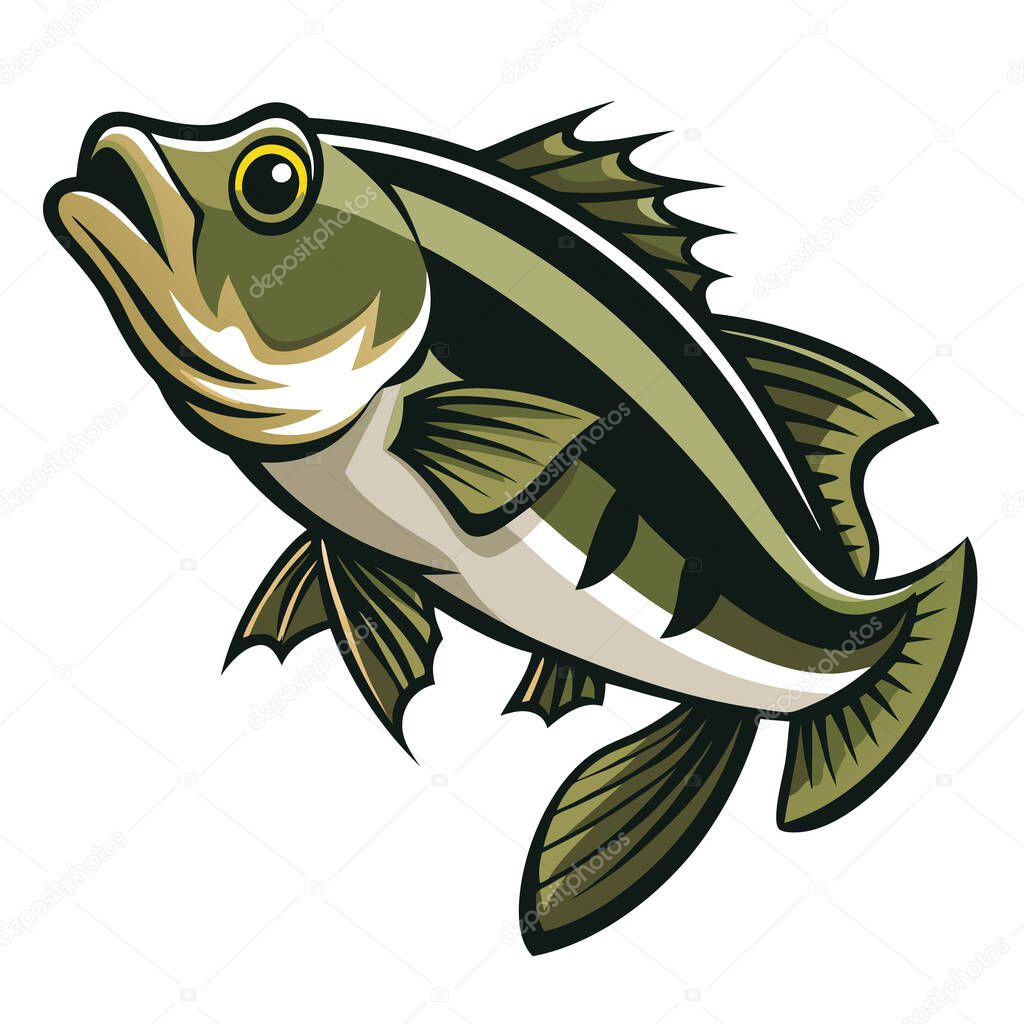 Freshwater bass portrait vector design set