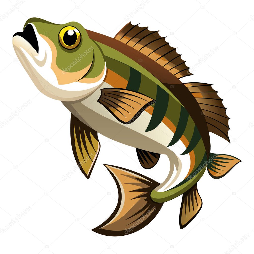 Freshwater bass portrait vector design set