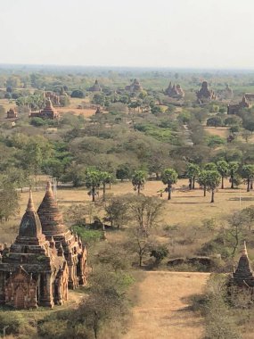 Bagan 'ın antik tapınakları ve salakları sisli Myanmar manzarasından yükseliyor, kuleleri ufku noktalıyor. Palmiye ağaçları ve doğal bitki örtüsü arkeolojik ovaları doldurarak Budist mimari mirasının mistik bir manzarasını yaratıyor..