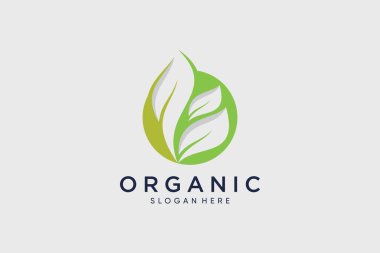 Yaratıcı fikri olan doğal organik logo yaprak tasarımı vektör çizimi