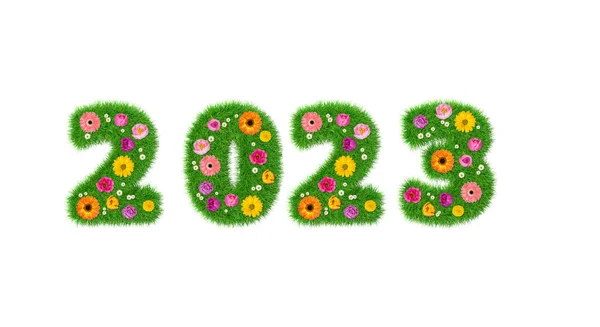 Ano Verde 2023 Feito Flores Grama — Fotografia de Stock