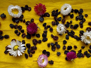 Sarı arka planda kuru meyveler. Frenk üzümü. Kuru çiçekler.