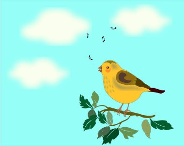 Küçük, sarı, orman kuşu. Ağaç dalında şarkı söylemek.