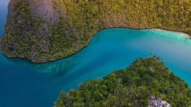 Raja Ampat 'ın güzel tropikal adası, Raja Ampat' taki Piaynemo adasının havadan görünüşü.