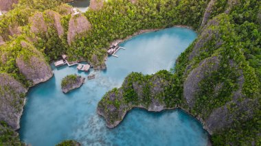 Raja Ampat 'ın güzel tropikal adası, Raja Ampat' taki Piaynemo adasının havadan görünüşü.