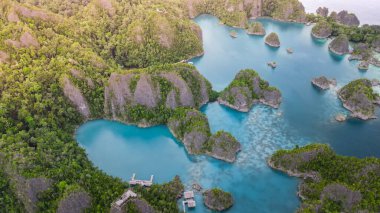 Raja Ampat 'ın güzel tropikal adası, Raja Ampat' taki Piaynemo adasının havadan görünüşü.