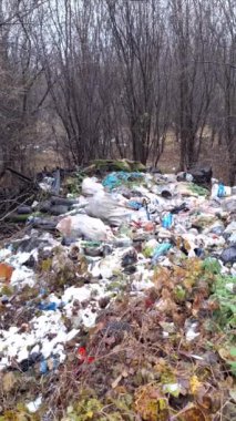 Çevresel Kirliliğin Vurgulanması, Doğadaki Büyük Çamurda Yürüyen Köpek Sayısı