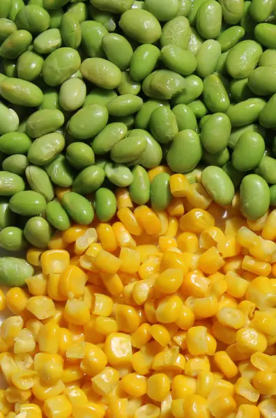 stock market traded materials, commodities, commodity close up: soy beans, organic yellow corn, green soybeans, edamame, soybean, trading, business folder, exchange, futures contract. import export transportation cargo. shipping freight in sunshine