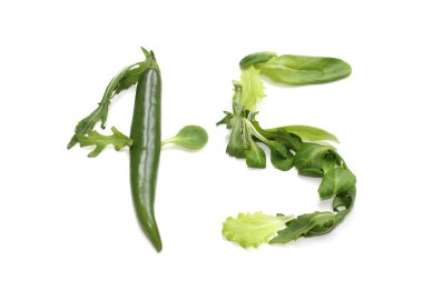 balcony gardening garden equipment plant present. green anniversary number 45 for company, business events, birthday, corporate days numbers from chili peppers, salad lettuce leaf for forty fifth greeting card, wedding day, 45th birthday, forty-five clipart