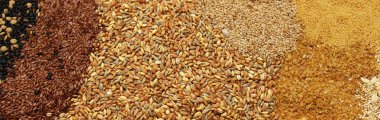 Tam tahıllı mercimek, keten tohumu ve erişte gibi ürünler. Makarna ve ekmek için tam tahıl, tohum mercimek, keten tohumu, bulgur ve kuskus, tam tahıllı pirinç, yulaf lapası, susam, erişte, cips ve kinoa. Yemek kitabı tarifi, fırın için.