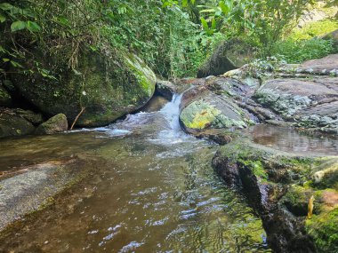 Orman ortamında sakin bir şelalenin güzel doğal manzarası. Su, yemyeşil yapraklarla çevrili yosun kaplı kayaların üzerinden yavaşça akar ve doğada huzur ve sükunet ortamı yaratır..