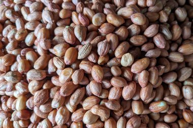 Kurutulmuş fıstıklı ve derili yakın çekim. Küçük, oval şekilli ve kırmızımsı-kahverengidirler. Birbirlerine kümelenerek doğal dokularının altını çizerler. Fıstıklar atıştırmak ya da pişirmek için kullanılır..