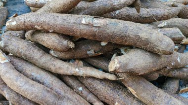 Bir yığın manyok kökü. Sert, kahverengi bir dış görünüşleri ve silindirik bir şekilleri var. Cassava, genellikle yemek pişirmede kullanılan nişasta köklü bir sebzedir ve birçok tropikal bölgede önemli bir öneme sahiptir..