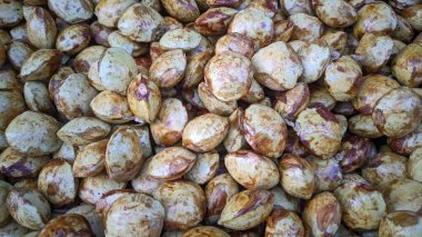 Belirgin yuvarlak şekilleri ve benekli kahverengi ve bej renkleriyle tanınan jengkol tohumları koleksiyonu. Yüzey dokusu pürüzlüdür ve Güneydoğu Asya mutfağında yaygın olarak kullanılan birbirine yakın bir şekilde dizilmişlerdir..