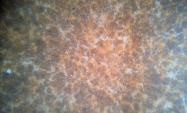 Benekli desenli bir fayans yüzeyinin yakın çekimi. Renkler kahverengi ve bej renkleri ile harmanlanarak desenli bir görünüm yaratıyor. Yüzeyin biraz pürüzlü bir sonu var, kırsal ve doğal görünümünü de ekliyor..