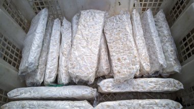 Birkaç blok tempeh temiz ambalajla sarılmış, düzgünce bir sandığın içine yerleştirilmiş. Tempeh, mayalanmış soya fasulyelerinin tipik beyazımsı görünümlü sert ve dokulu görünüyor..