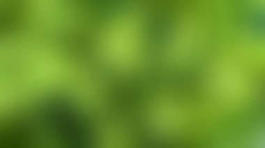 Çağdaş yeşil poli desenli soyut çok renkli arkaplan, doğal ve organik hissi verir. 