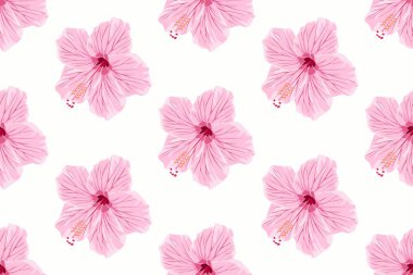 Kusursuz amber deseni birçok gelenekte kültürel öneme sahip olan tropikal amber çiçeğinden esinlenilmiştir. Genellikle moda, dekor ve tasarımda kullanılır. Yaz atmosferini çağrıştırır..