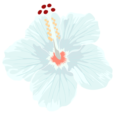 Çeşitli projeler için el çizimi amber çiçeği PNG.