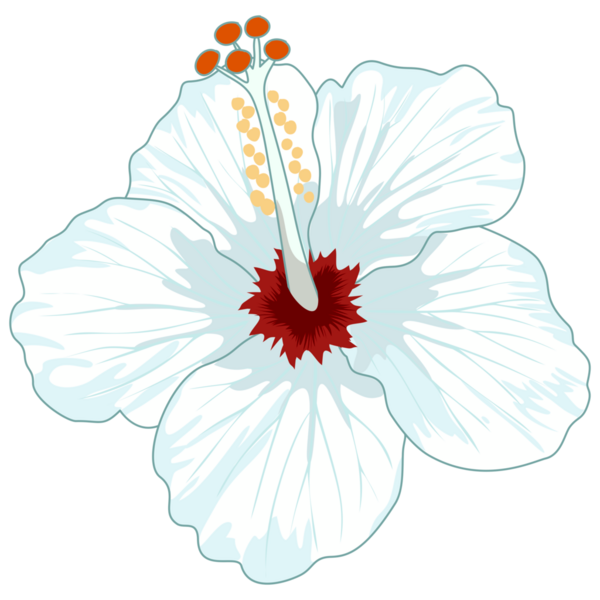 Çeşitli projeler için el çizimi amber çiçeği PNG.