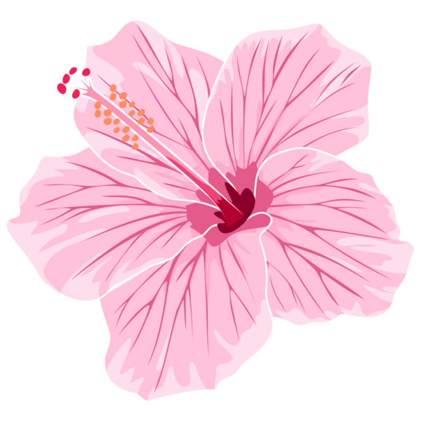 Çeşitli projeler için el çizimi amber çiçeği PNG.