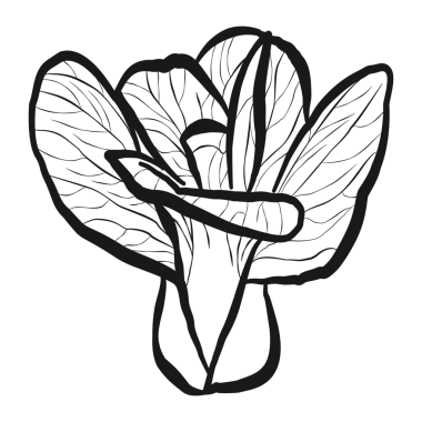 Bahçe Sebzeleri Çizgisi Sanat PNG Seti: Çocukların Öğrenmesi, Renklendirmesi ve Yapısı İçin Şirin Sebze Taslakları.