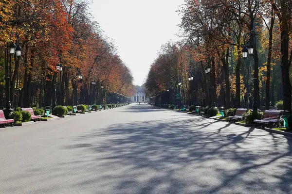 Sonbahar sabahının erken saatlerinde şehir parkında geniş bir sokak.