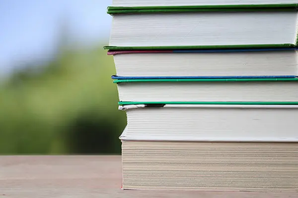 Açık bir pencerenin arka planına karşı bir yığın ders kitabı. Yaz motifleri, alan derinliği. Eğitim kavramı.