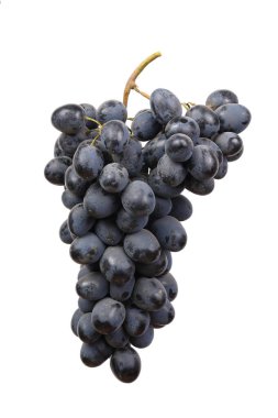 Beyaz arkaplanda izole edilmiş Moldova üzümleri kümesi