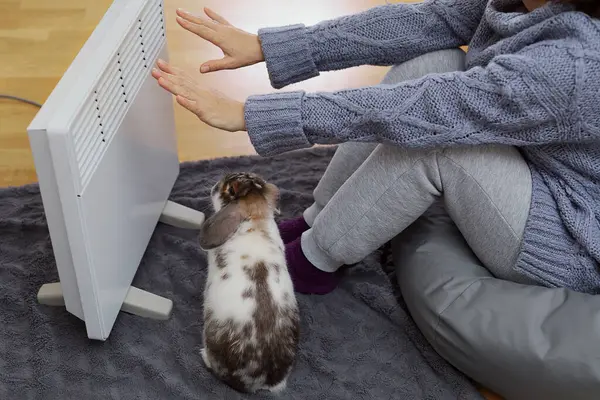 Bir kadın kışın elektrikli radyatörün yanında ellerini ısıtır. Seçici odak. 