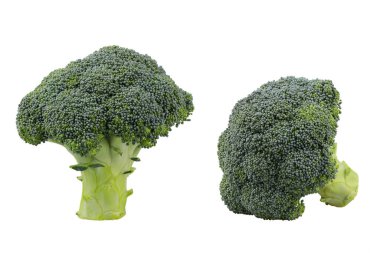 Beyaz arka planda izole edilmiş iki brokoli kabağı başı.