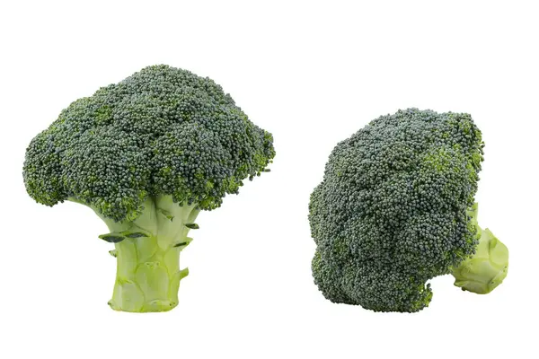 Beyaz arka planda izole edilmiş iki brokoli kabağı başı.