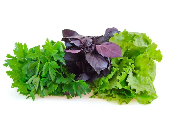 Yeşiller lezzetli ve sağlıklı yemek hazırlamak için.. 