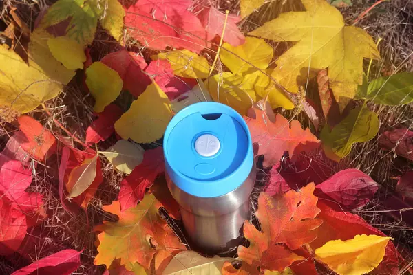 Sabah güneşi çimleri sonbahar parkındaki ışınlarla dolduruyor termo bardaktaki çayla.. 