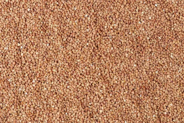 Karabuğday tanesi. Sağlıklı gıda konsepti. Arkaplan.