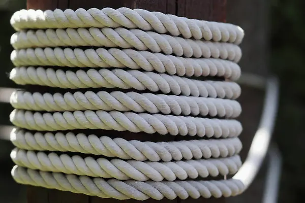 İp ahşap bir kazığa bağlanmış. Harkov şehir parkında bulunan 