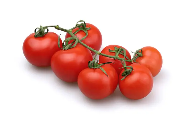 Daldaki domatesler. Kokteyl domates çeşitleri.