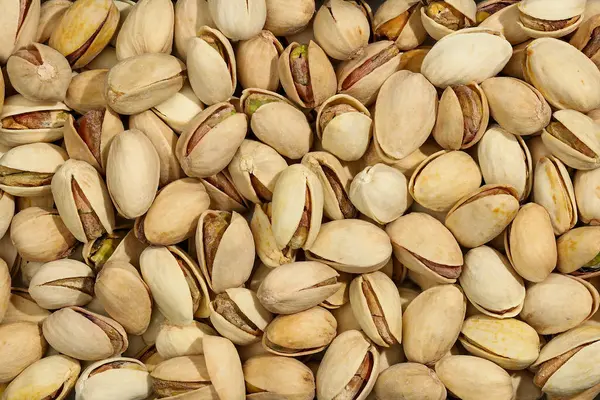 Fıstıkların yüksek bir besin değeri vardır -% 50 'den fazla yağ içerirler, ayrıca bir sürü protein ve karbonhidrat içerirler. Tonik etkisi vardır ve kronik yorgunluk için tavsiye edilir. Arkaplan.