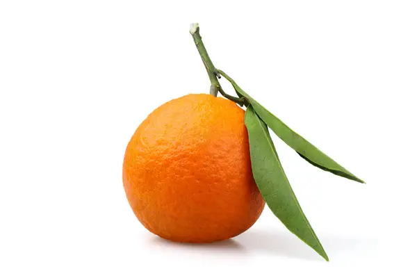 Clementine mandalinası bir mandalina ve portakal karışımıdır. Clementine meyveleri mandalinaya benzer ama tadı daha tatlıdır..