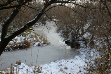 Yıllık bir akarsu çalılıklara akıyor.